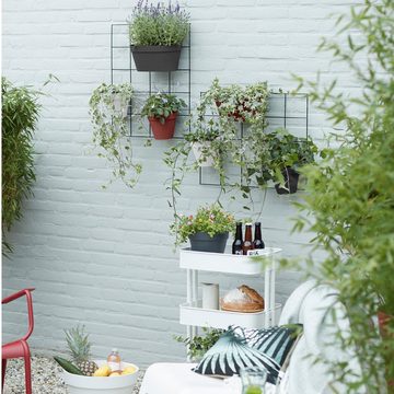 Elho Blumenkasten loft urban green wall pflanzsystem