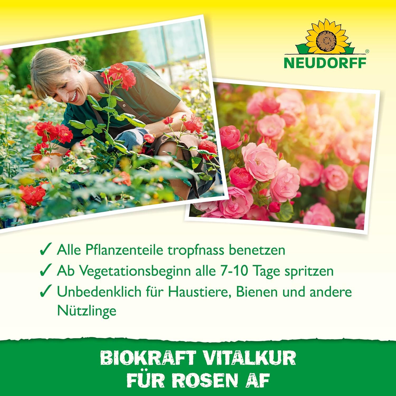 Neudorff Pflanzenstärkungsmittel BioKraft Vitalkur für Rosen 300 ml, Konzentrat für 30L auch unverdünnt nutzbar, Unbedenklich für Haustiere, Bienen und andere Nützlinge