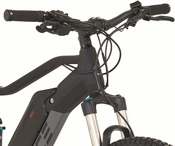 Prophete E-Bike Prophete DICE 4.8, 10 Gang Shimano Deore XT Schaltwerk, Kettenschaltung, Mittelmotor, 672 Wh Akku