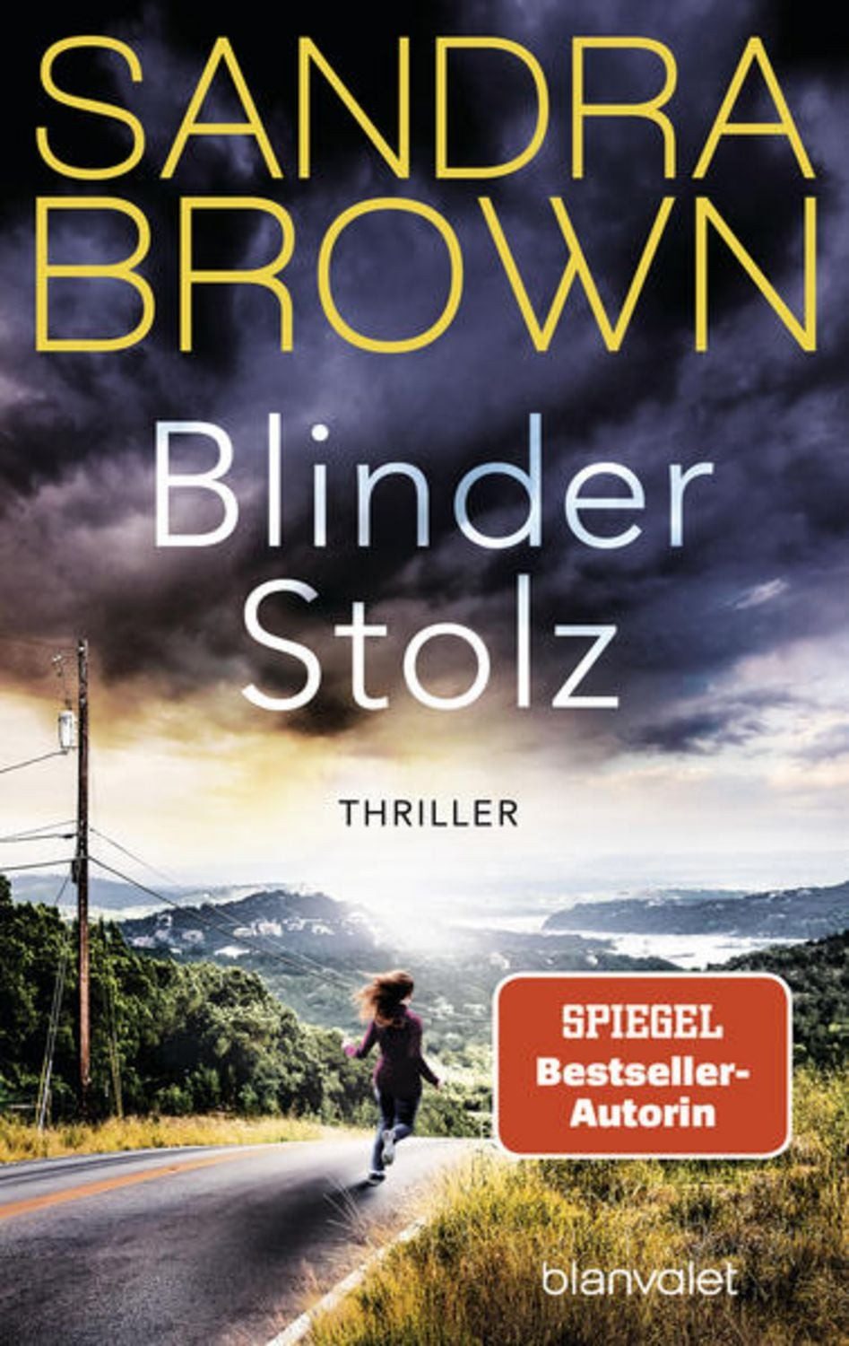 Blinder Stolz / Sandra Brown