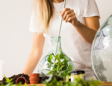 Dekowunder Übertopf DIY Pflanzen Terrarium Starter Set 5 Liter Glas und Zubehör