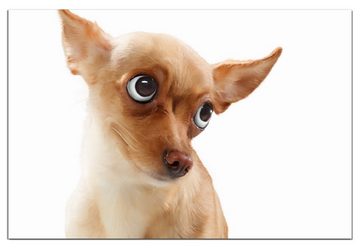 Wallario Wandfolie, Lustiger Hund mit fliegenden Ohren, wasserresistent, geeignet für Bad und Dusche