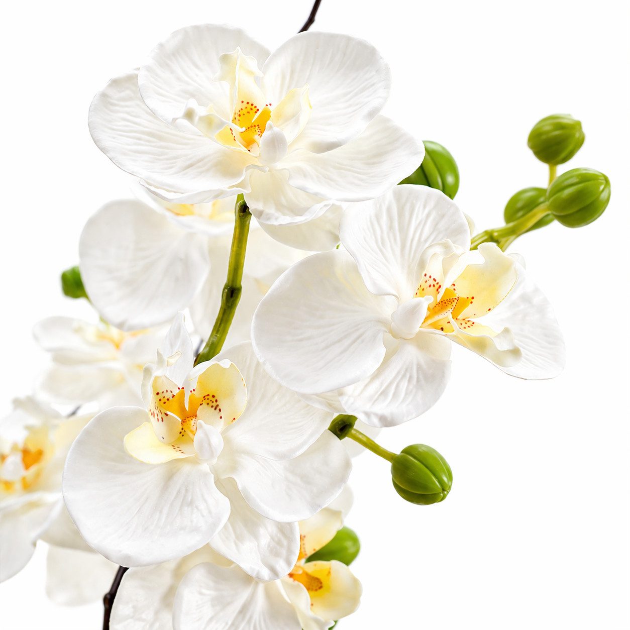 Kunstpflanze Künstliche Orchideen im Topf - Weiße Phalaenopsis Kunstblumen- 36cm orchideen, SURFOU, Dekorative Phalaenopsis mit Seidenblüten & Keramiktopf, Zimmerpflanzen