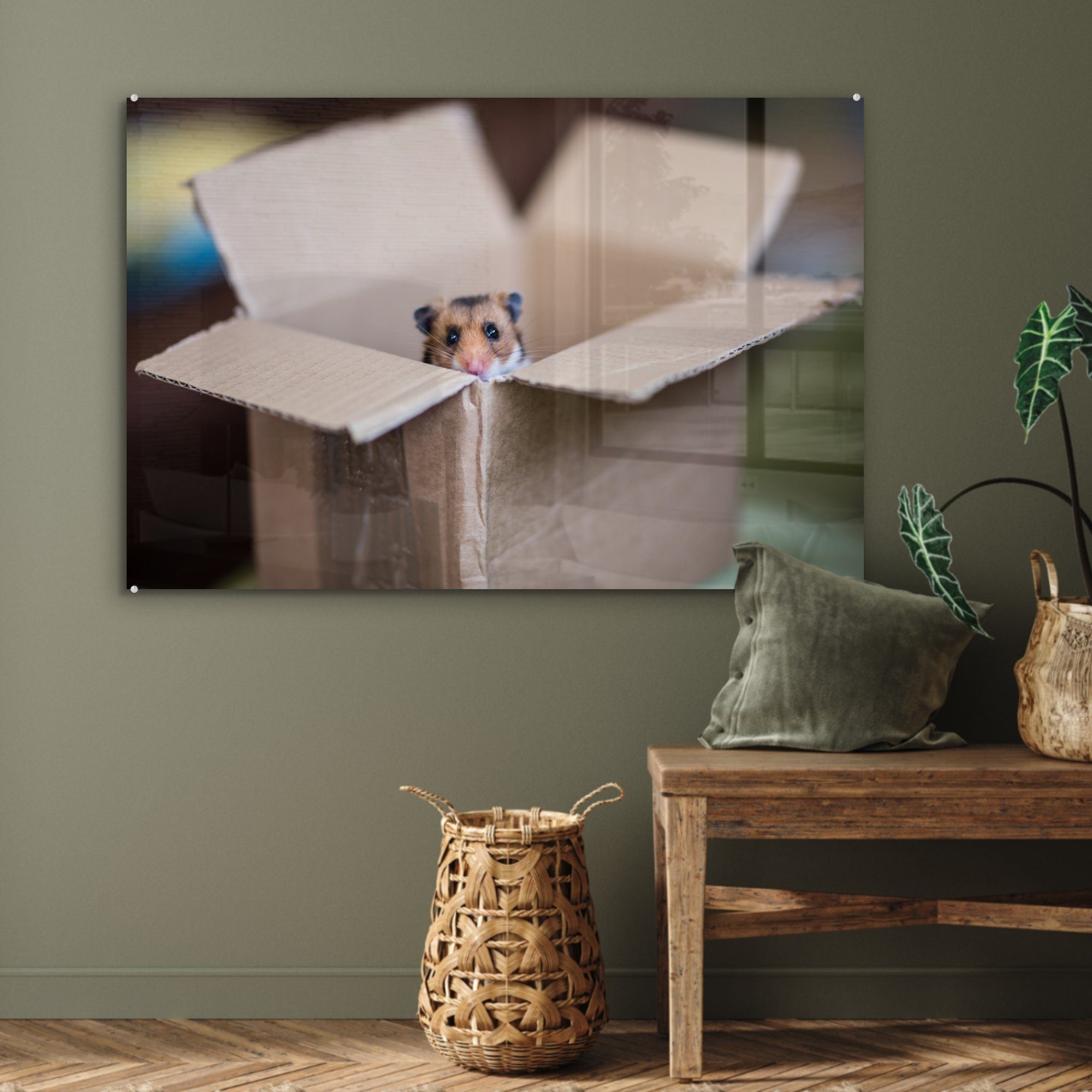 MuchoWow Acrylglasbild Hamster entsteigt Wohnzimmer & Schlafzimmer Pappschachtel, (1 St), Acrylglasbilder einer