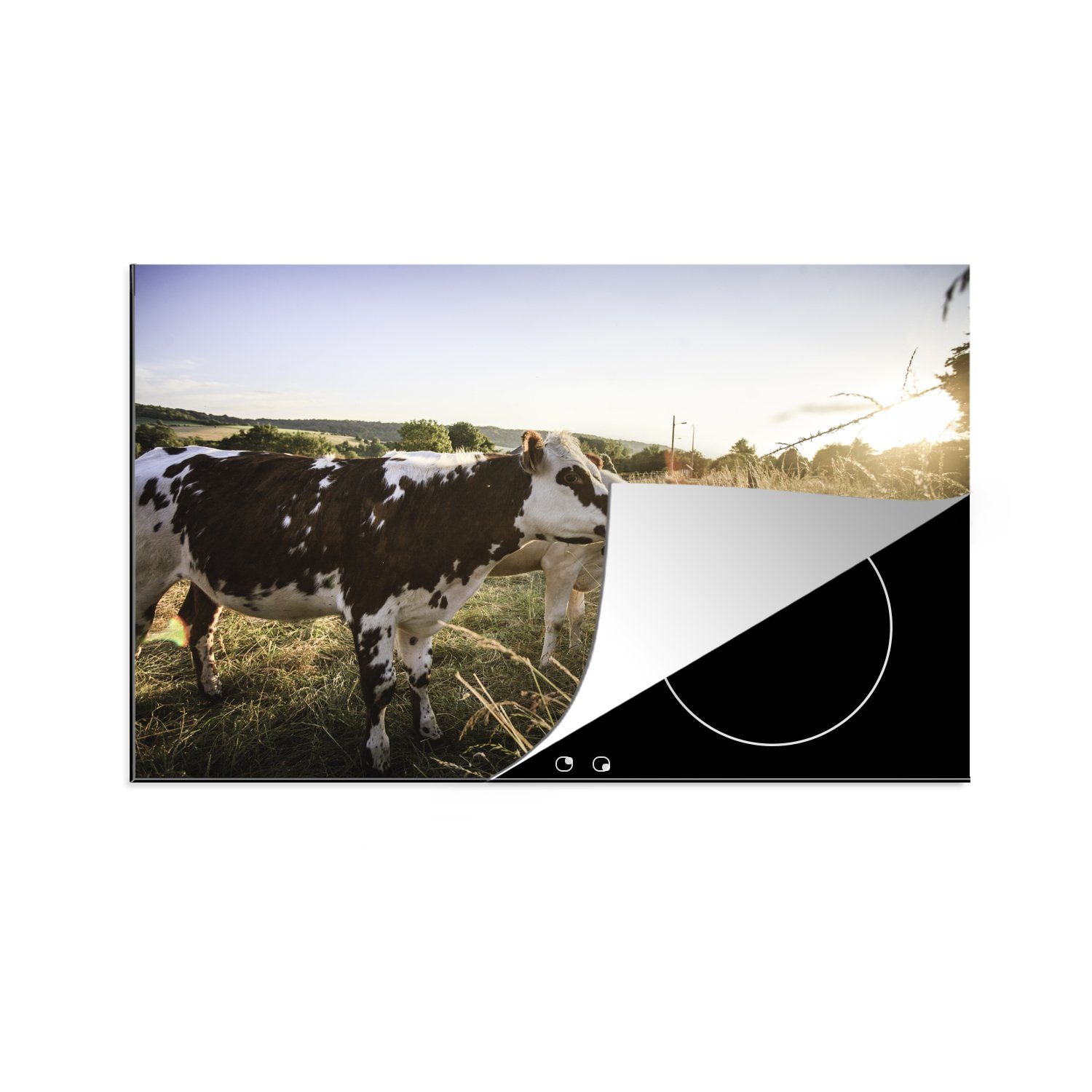 MuchoWow Herdblende-/Abdeckplatte Kühe - Licht - Natur, Vinyl, (1 tlg), 81x52 cm, Induktionskochfeld Schutz für die küche, Ceranfeldabdeckung