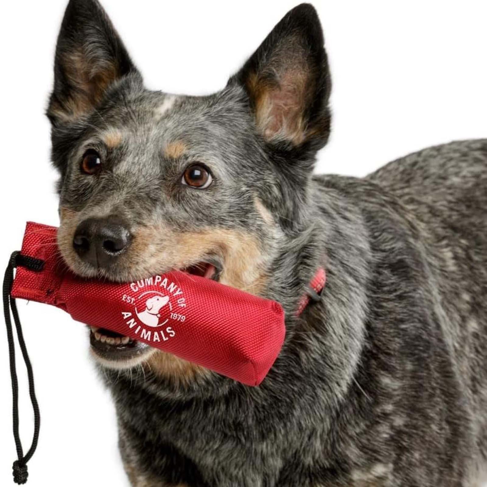 Company of Animals Dummy Hunde Training Dummy Apportierspielzeug Hundespielzeug Wurfspielzeug, Canvasstoff, Mit Schnur Schwimmfähig