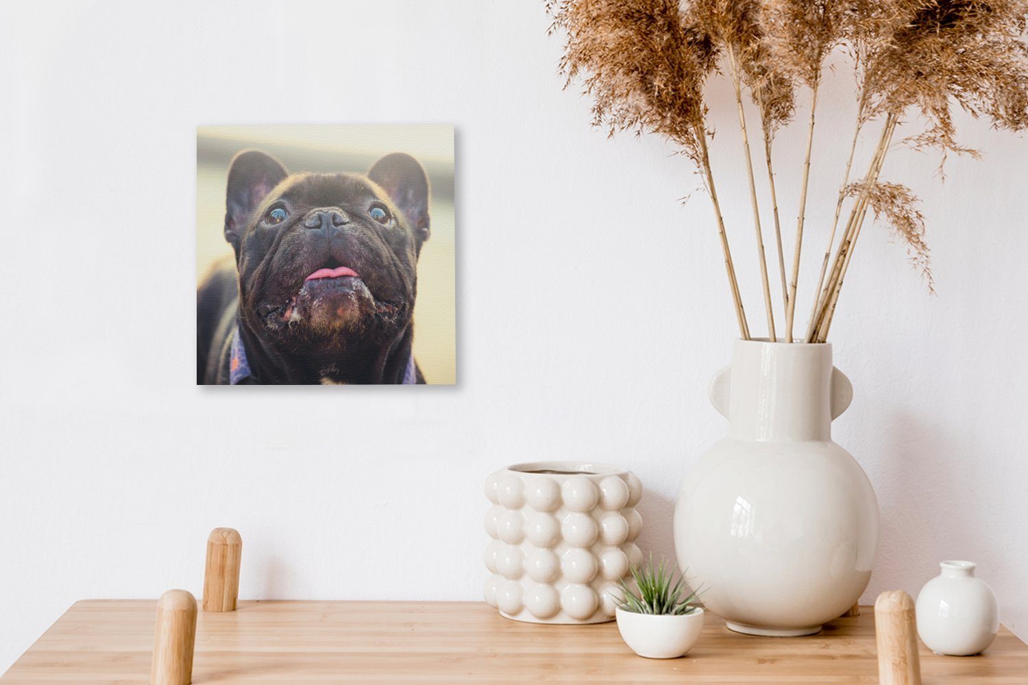 OneMillionCanvasses® Bulldogge Wohnzimmer - Schwarz Französische Sonne, Schlafzimmer Leinwandbild (1 für - St), Leinwand Bilder