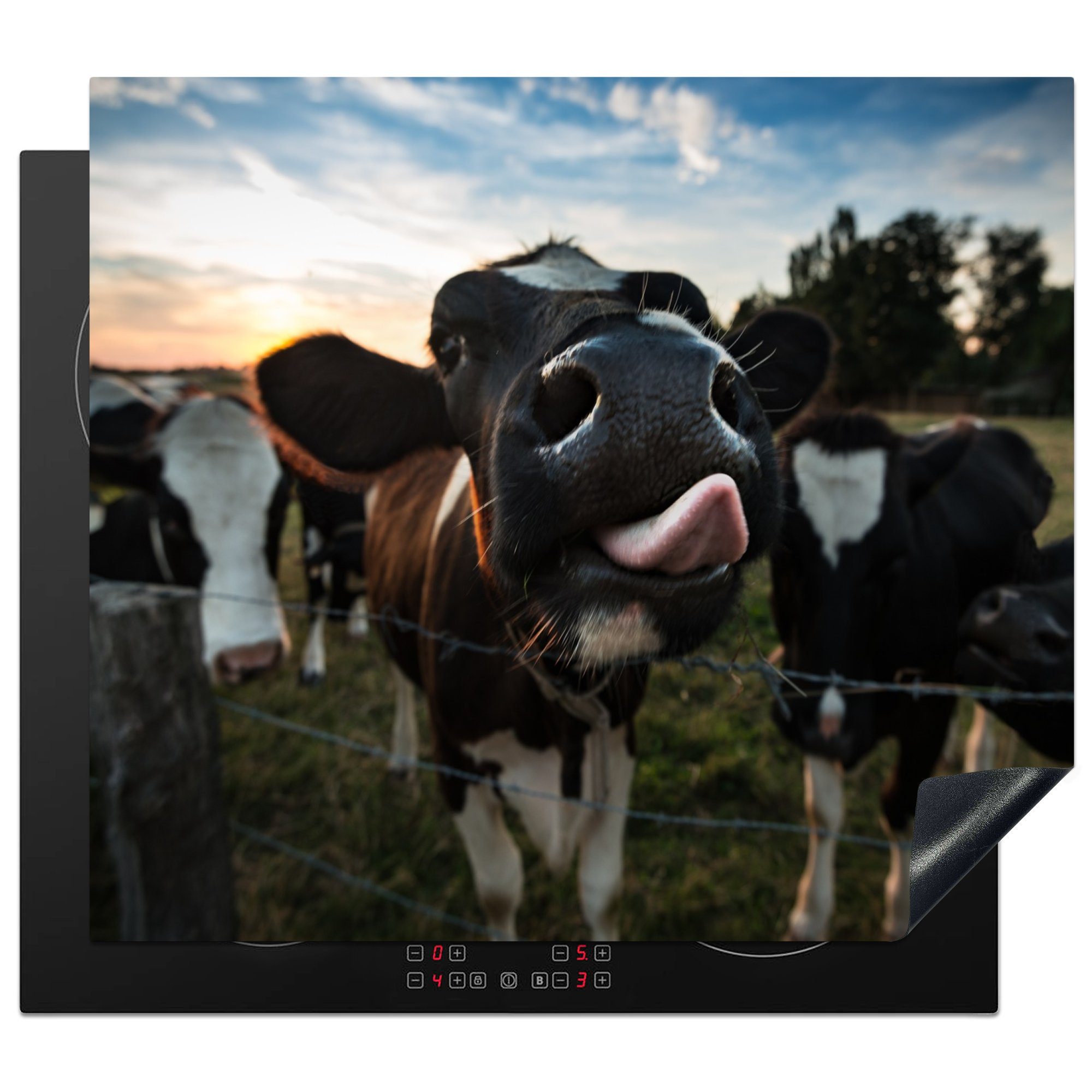 MuchoWow Herd-Abdeckplatte Kuh - Tier - Nahaufnahme, Vinyl, (1 tlg), Küche Herdabdeckplatte Ceranfeld Vinyl Einteilig, 59x52 cm