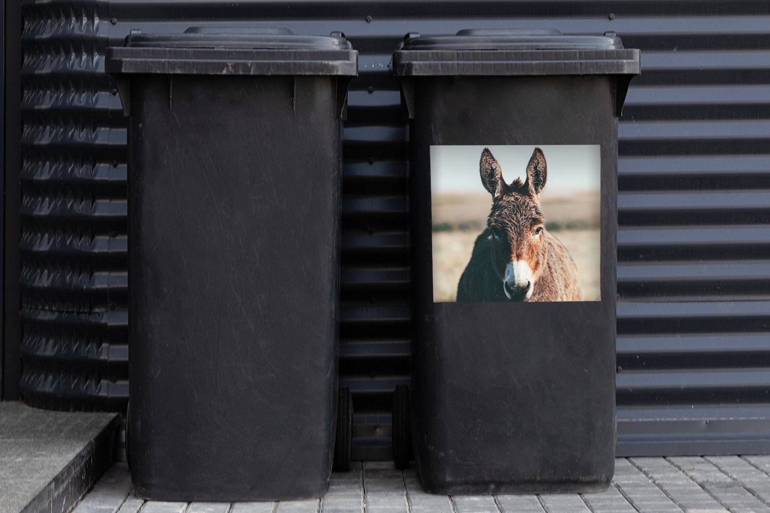 Container, Sticker, - Abfalbehälter Wandsticker (1 Porträt Mülleimer-aufkleber, Tier Esel - St), MuchoWow Mülltonne,