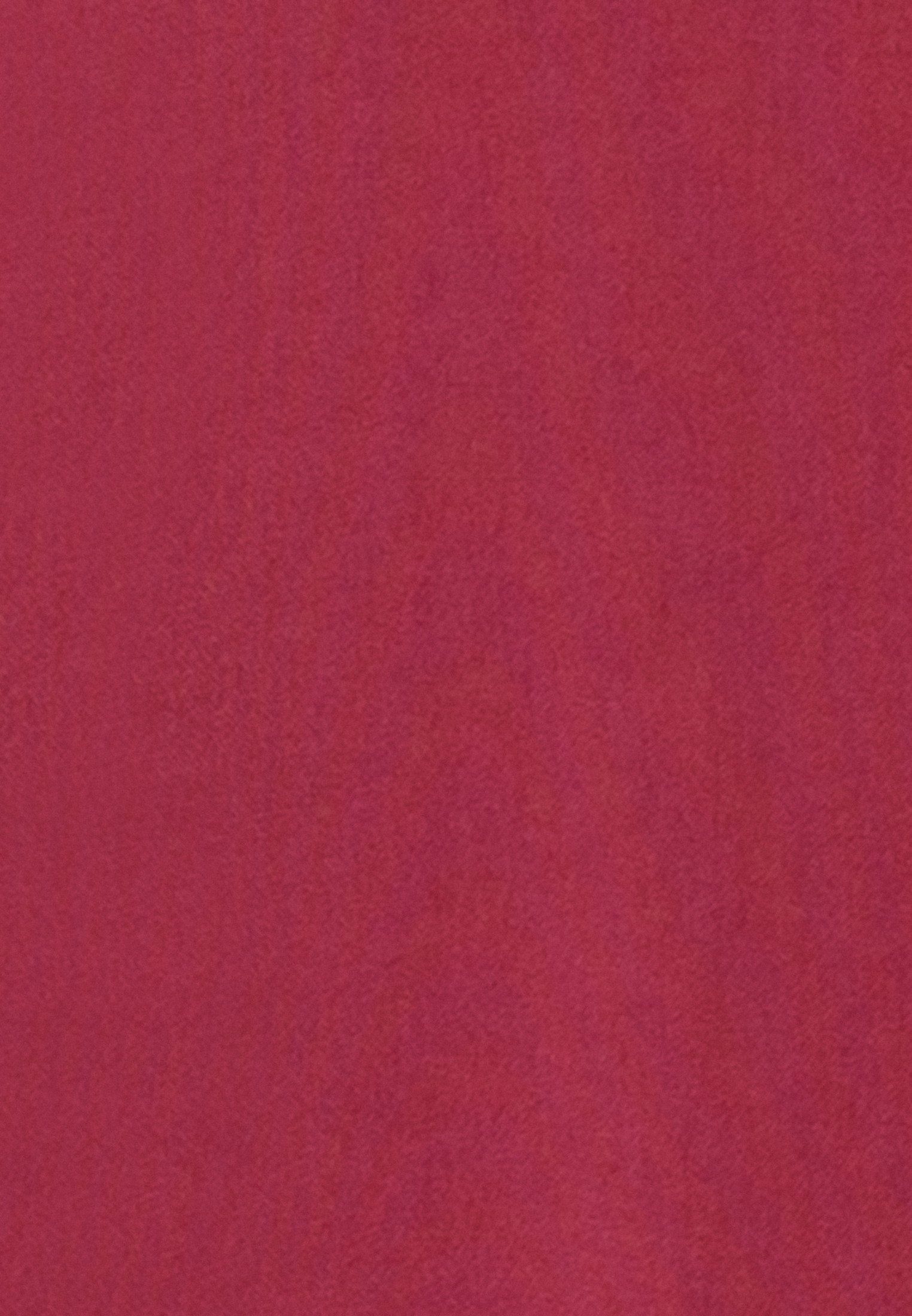 Rot Rose seidensticker Bluse Klassische Uni Schwarze Tunika