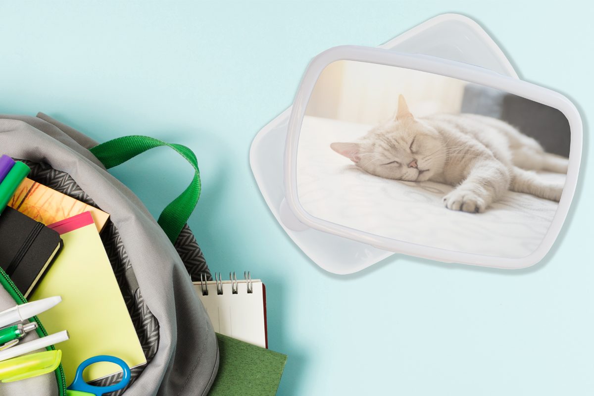 Bett, Katze weiß für Jungs auf dem schläft Mädchen für Erwachsene, Brotdose, Brotbox (2-tlg), Kunststoff, Lunchbox und Kinder und MuchoWow