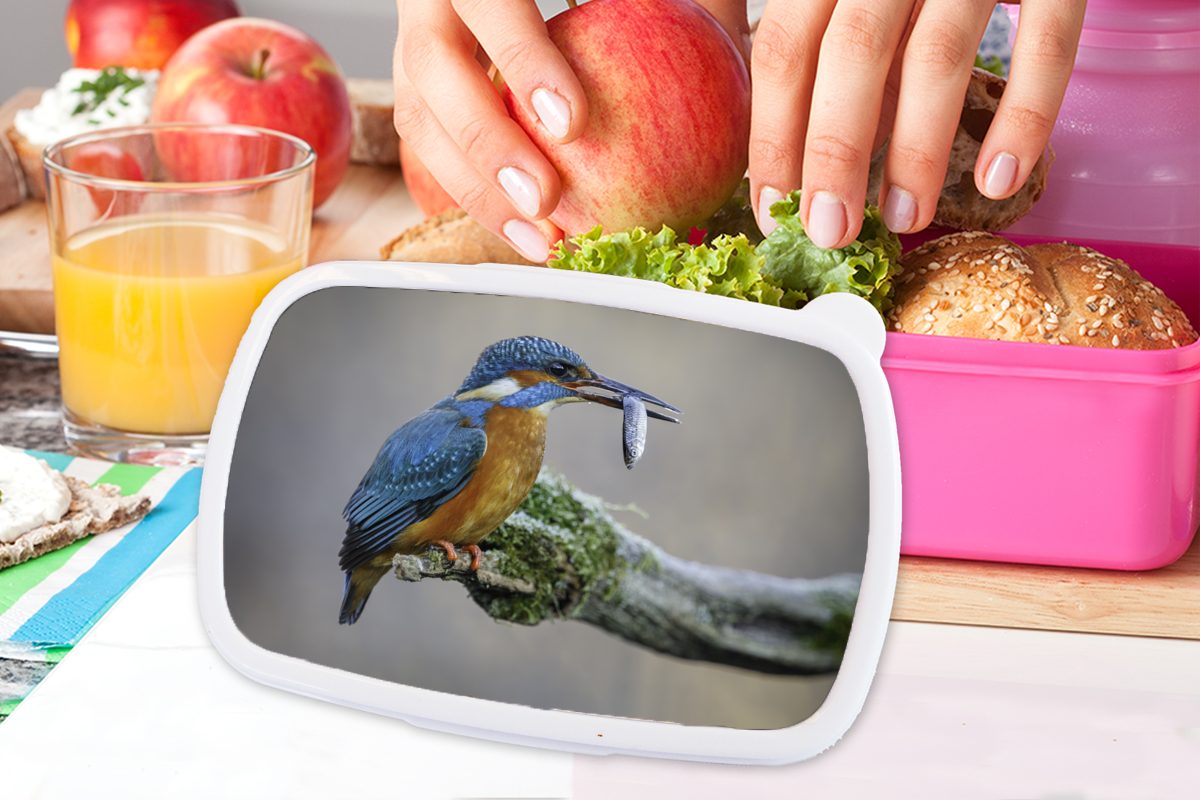 MuchoWow Lunchbox - Kunststoff - Fisch Snackbox, Tier, Kunststoff, für Mädchen, (2-tlg), Brotdose Kinder, Brotbox rosa Eisvogel Erwachsene