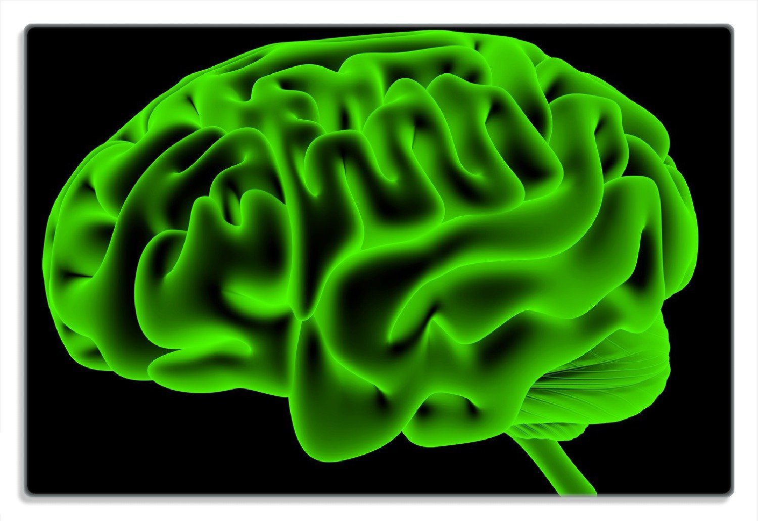 grüner 1-St), Gehirn rutschfester Wallario (inkl. Gummifüße in Frühstücksbrett 20x30cm Farbe, leuchtend 4mm, Menschliches