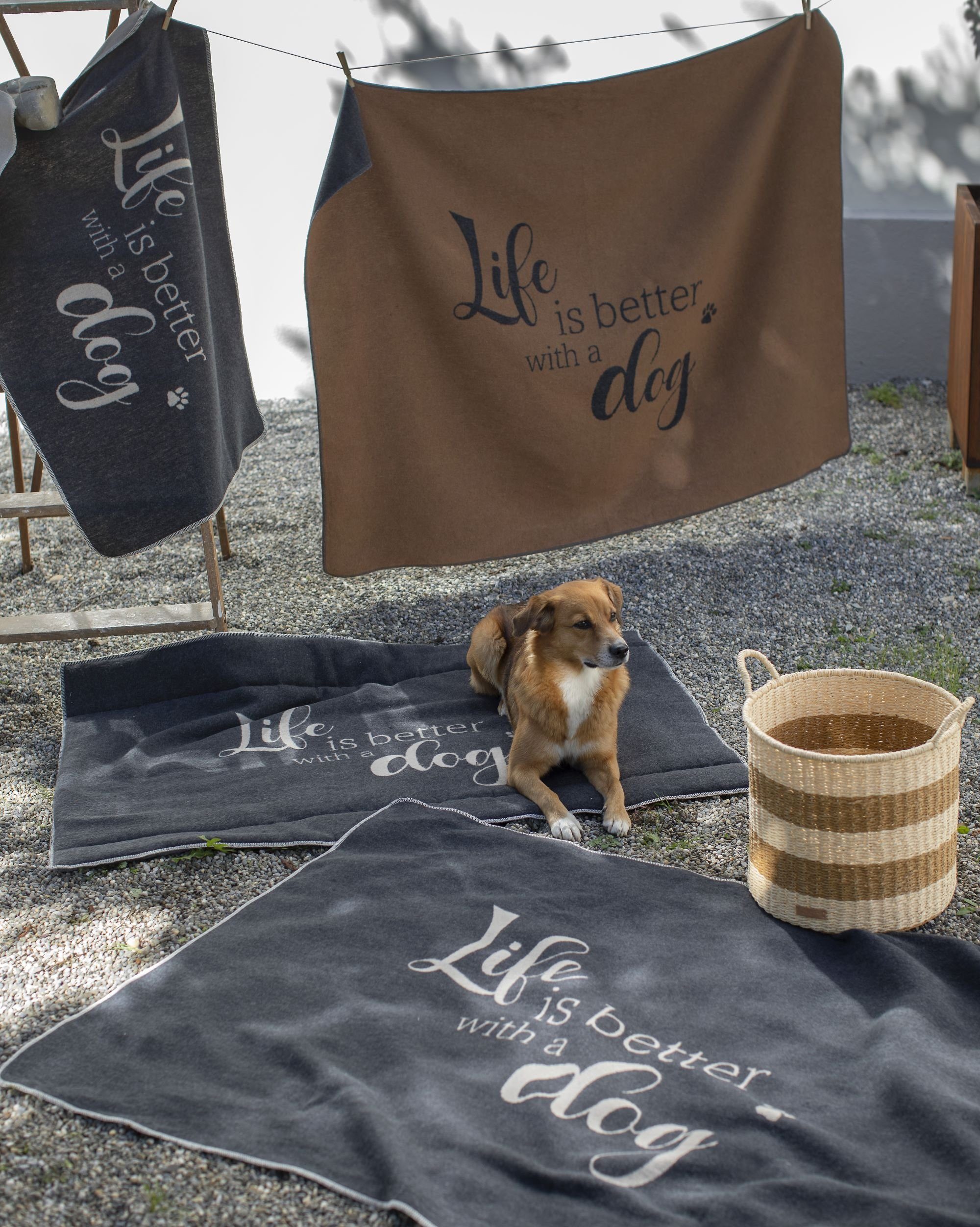 DAVID FUSSENEGGER Tierdecke Hundedecke 'life is günstig online kaufen