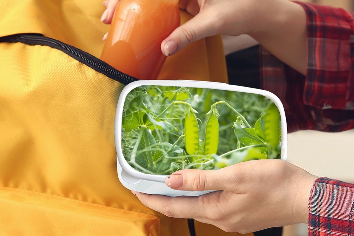 MuchoWow Lunchbox Gemüse und (2-tlg), für Kinder Erwachsene, Jungs weiß für Kunststoff, Brotbox Mädchen Grün - und Brotdose, Bohnen, 