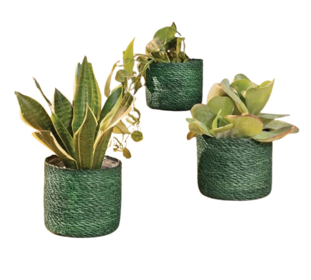 Pflanzkübel Grün Pflanzkorb Blumenkorb Pflanzer Pflanzgefäß Körbe Seegras 3er Set