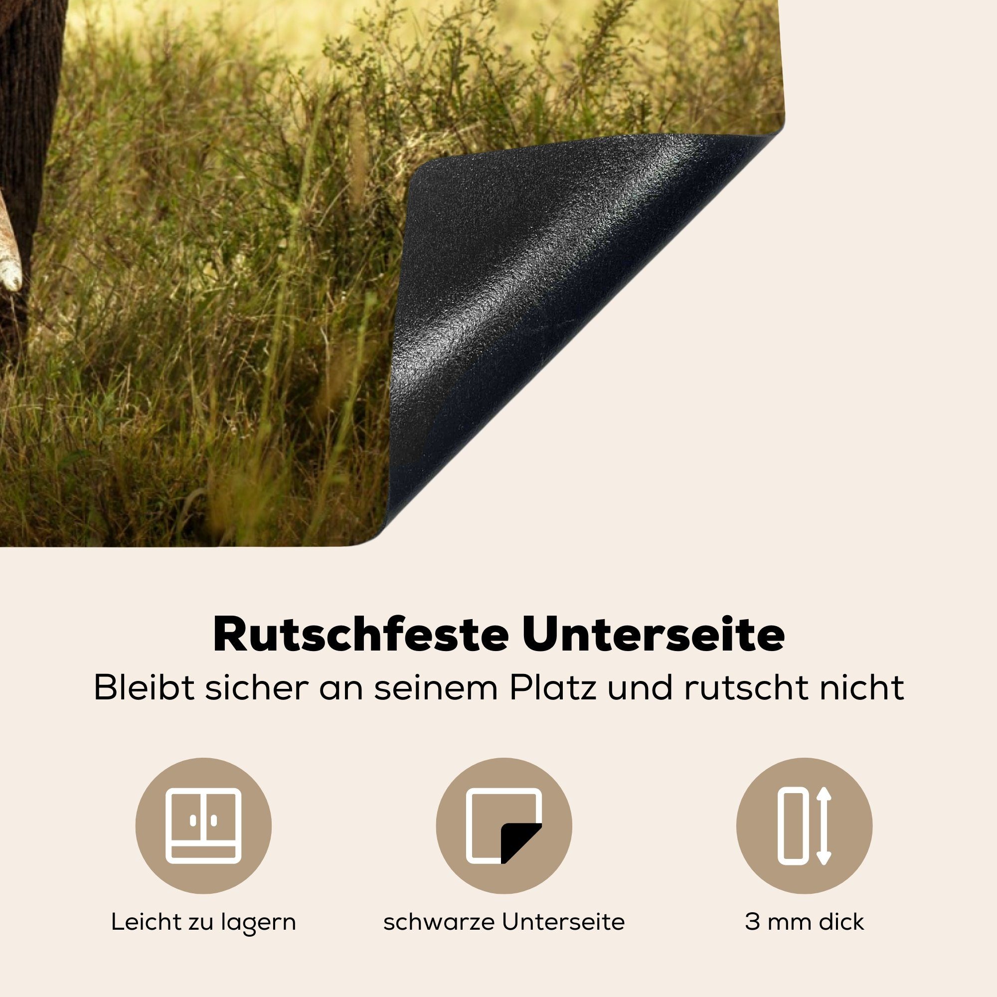 MuchoWow Herdblende-/Abdeckplatte Elefant - Gras für Vinyl, (1 tlg), Induktionskochfeld Schutz cm, - küche, die Ceranfeldabdeckung - Natur, Tiere 81x52