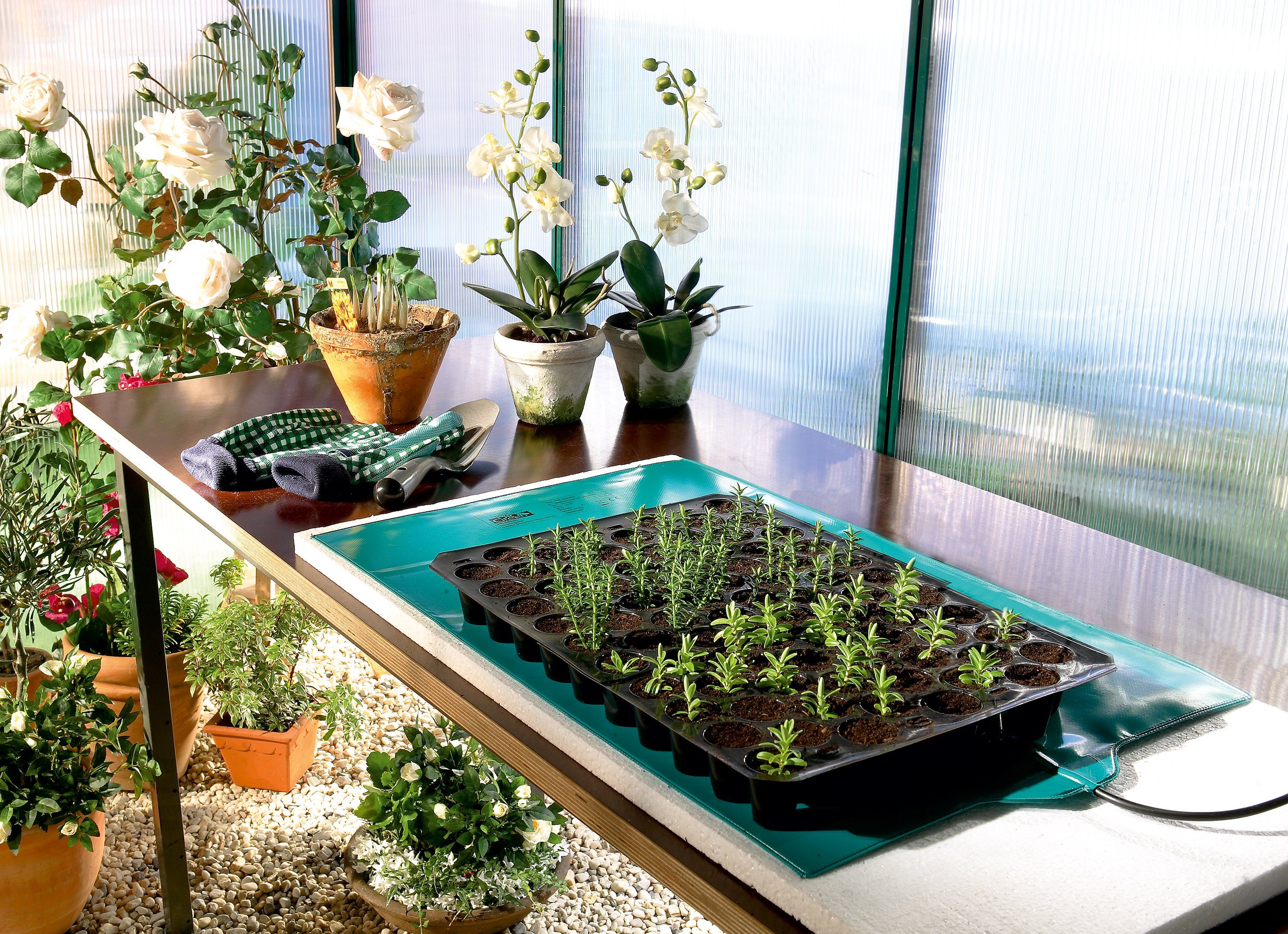 Bio Green Anzuchttopf zur Anzucht von Bodentemperatur, Jungpflanzen Erhöhung Wärmematte für Pflanzen, der