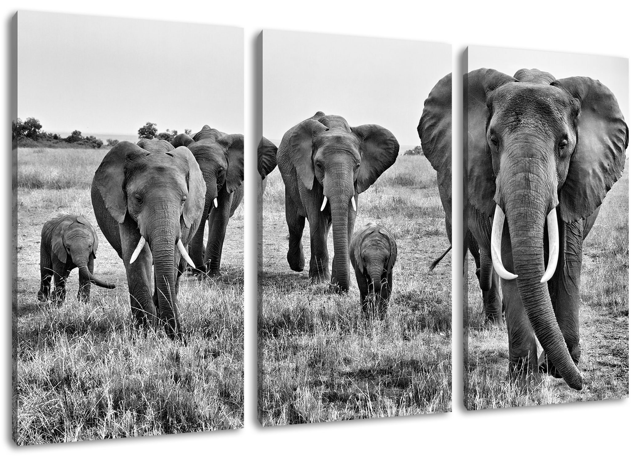 Pixxprint Leinwandbild große wandernde Elefantenhorde, große wandernde Elefantenhorde 3Teiler (120x80cm) (1 St), Leinwandbild fertig bespannt, inkl. Zackenaufhänger