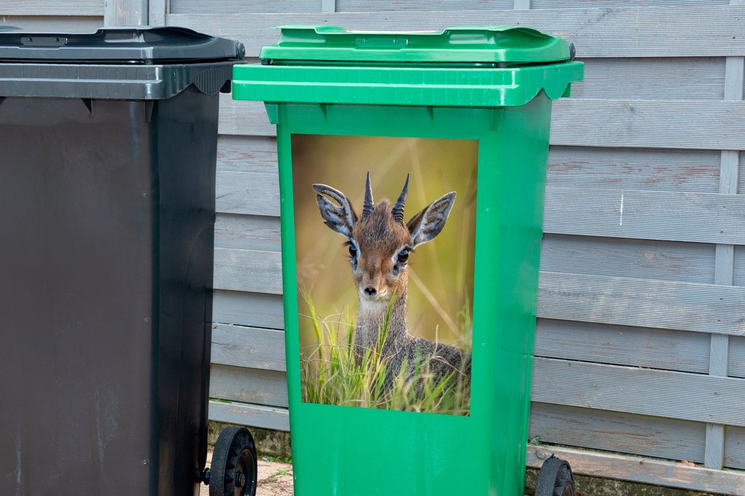 Dick Container, St), Mülleimer-aufkleber, Abfalbehälter in (1 Mülltonne, Sticker, Kenia Wandsticker MuchoWow