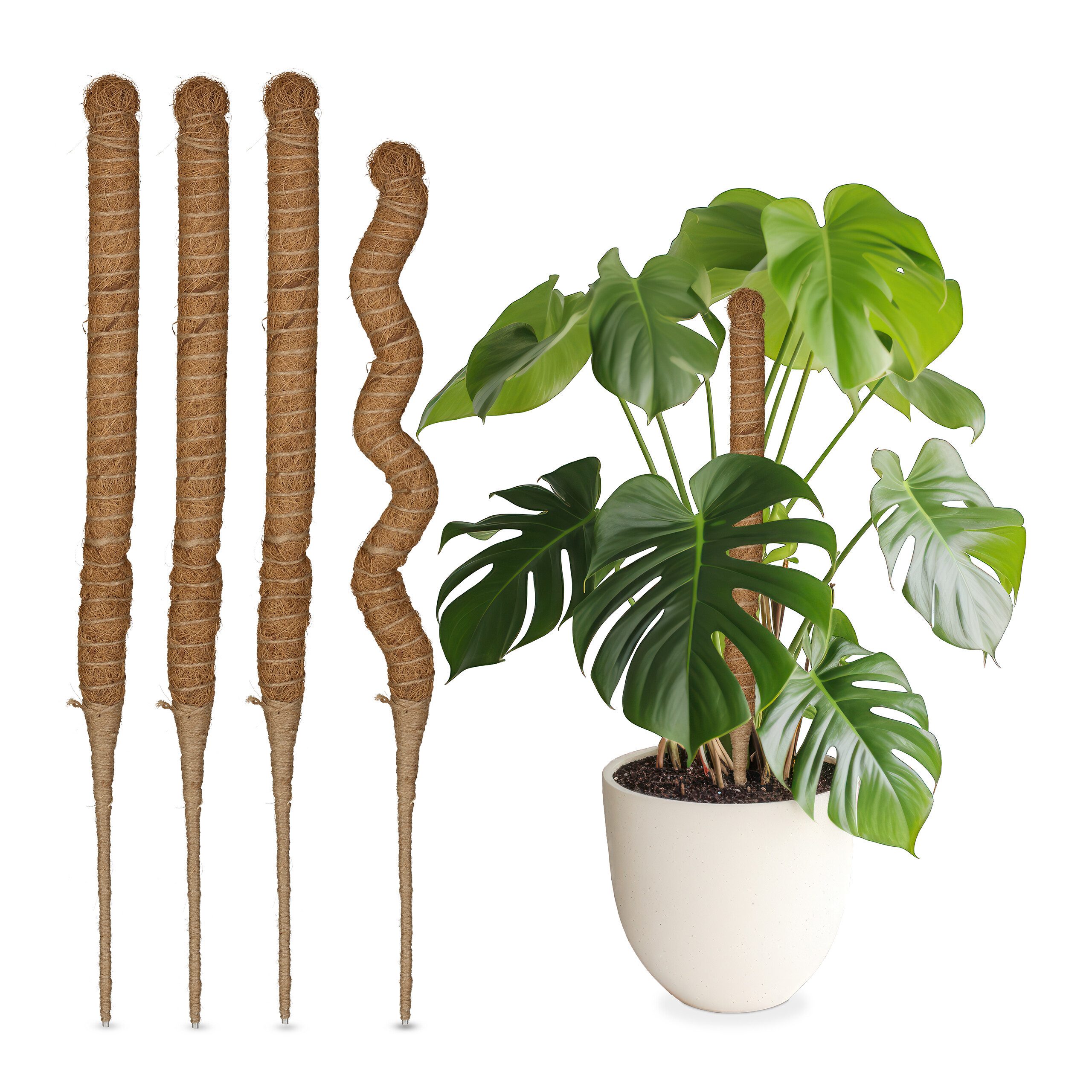 relaxdays Rankhilfe Kokosstäbe 60 cm, 5 günstig online kaufen