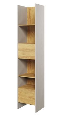 Feldmann-Wohnen Bücherregal Teen Flex, Teen Flex 1-tlg., 44x40x218cm betonfarben Hickory Natur