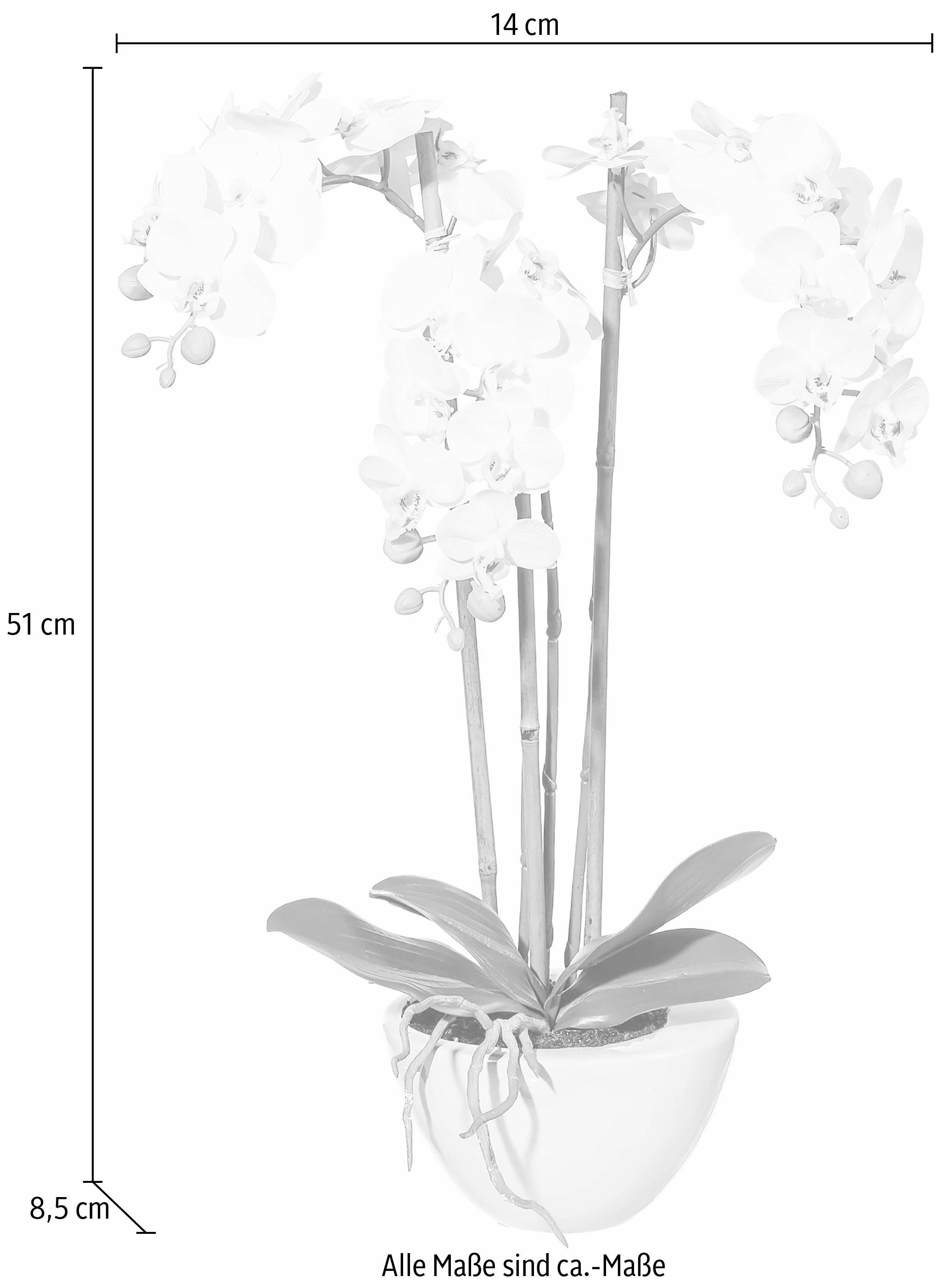 green, Kunstpflanze Mini Höhe 51 Creativ cm Orchidee,