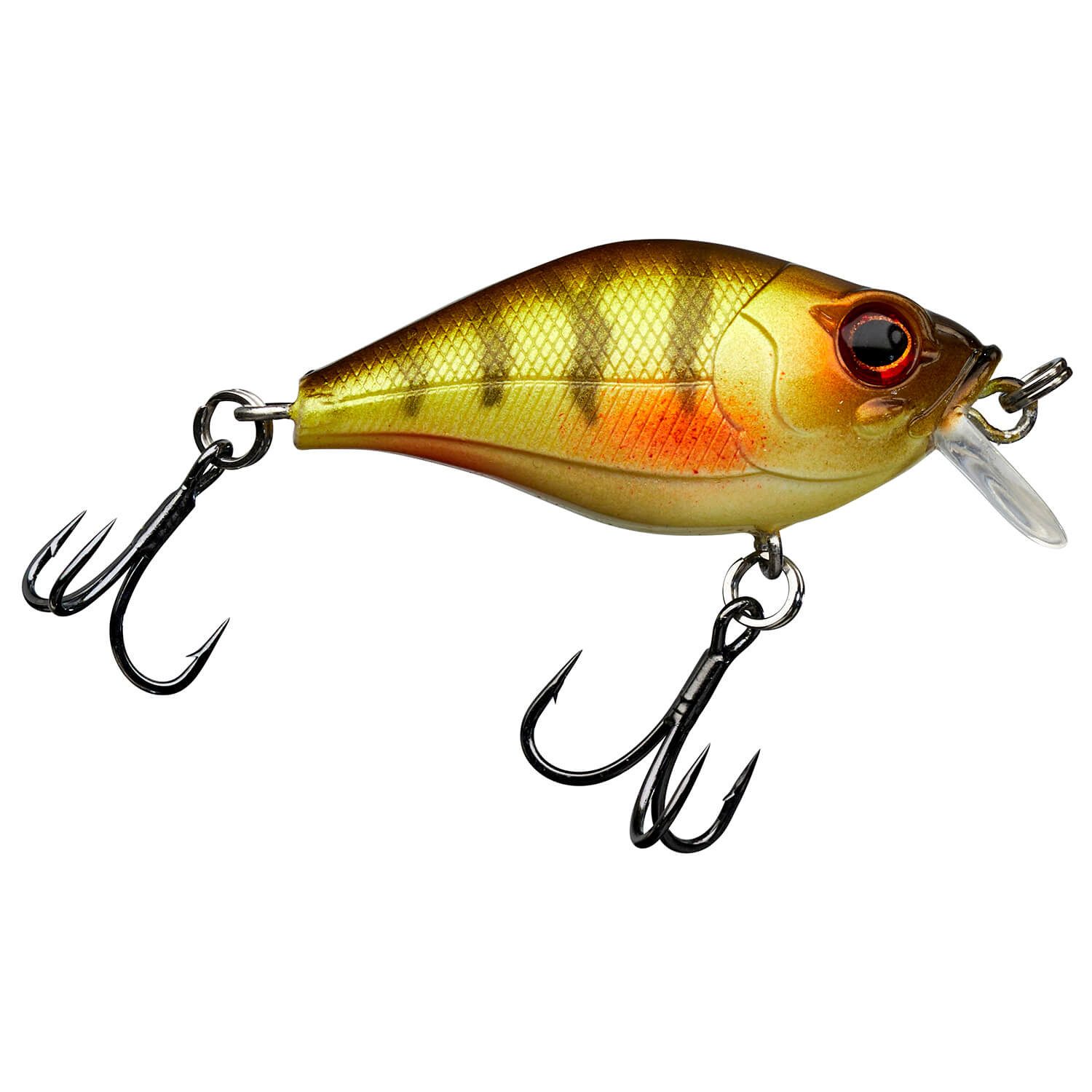 Perch