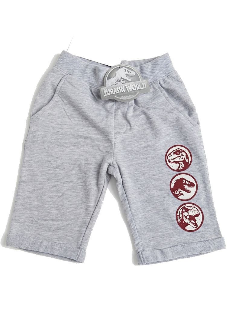 Jurassic World Shorts Jungen Shorts kurze Hose Kinderhose Sommerhose 4-8 Jahre Kinderhosen kurz Jungen Jurassic World