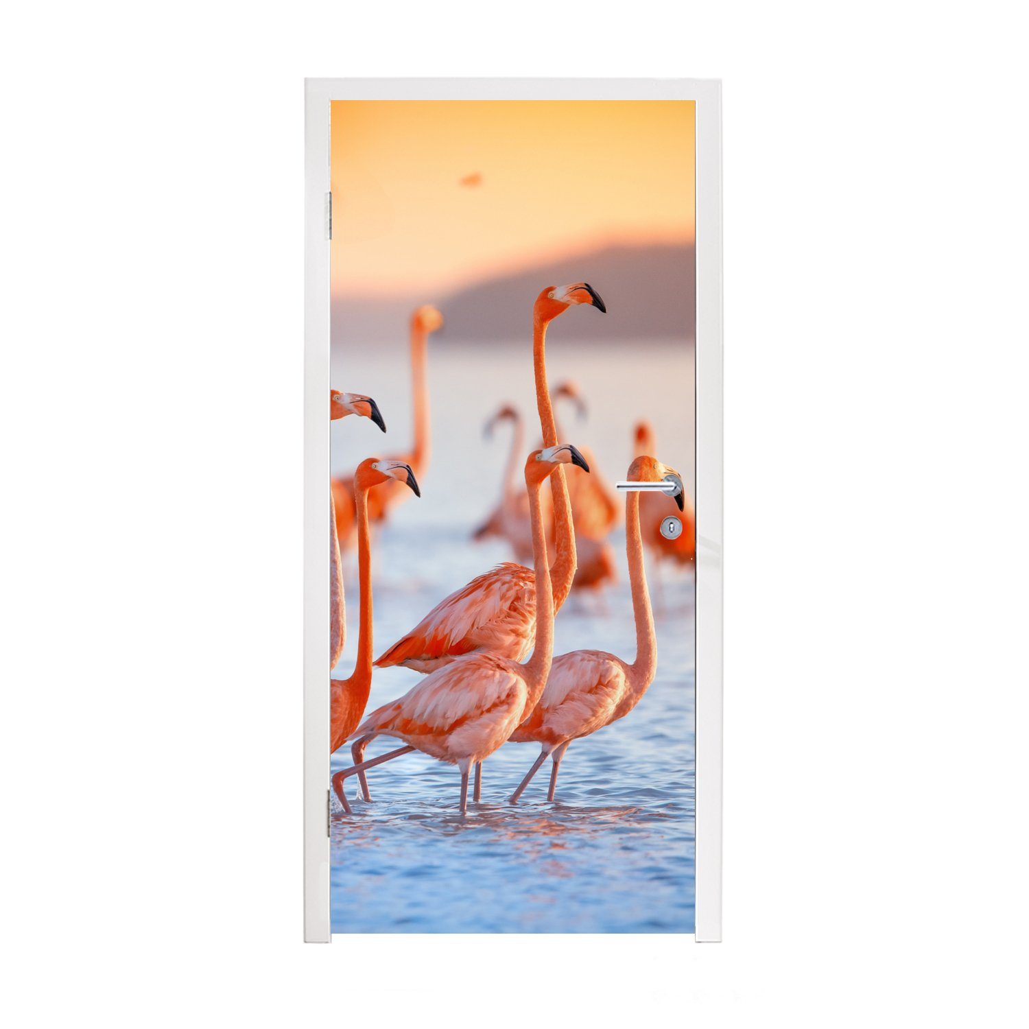 MuchoWow Türtapete Flamingo - Tiere - Wasser - Rosa, Matt, bedruckt, (1 St), Fototapete für Tür, Türaufkleber, 75x205 cm