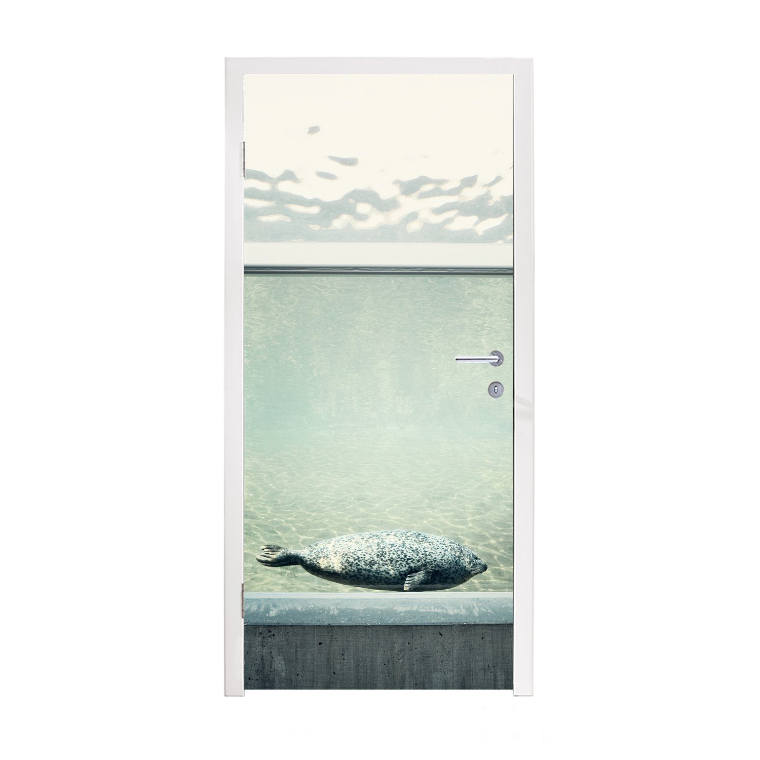 MuchoWow Türtapete Tür, Robbe Fototapete cm im (1 75x205 St), für Matt, Aquarium, Türaufkleber, bedruckt