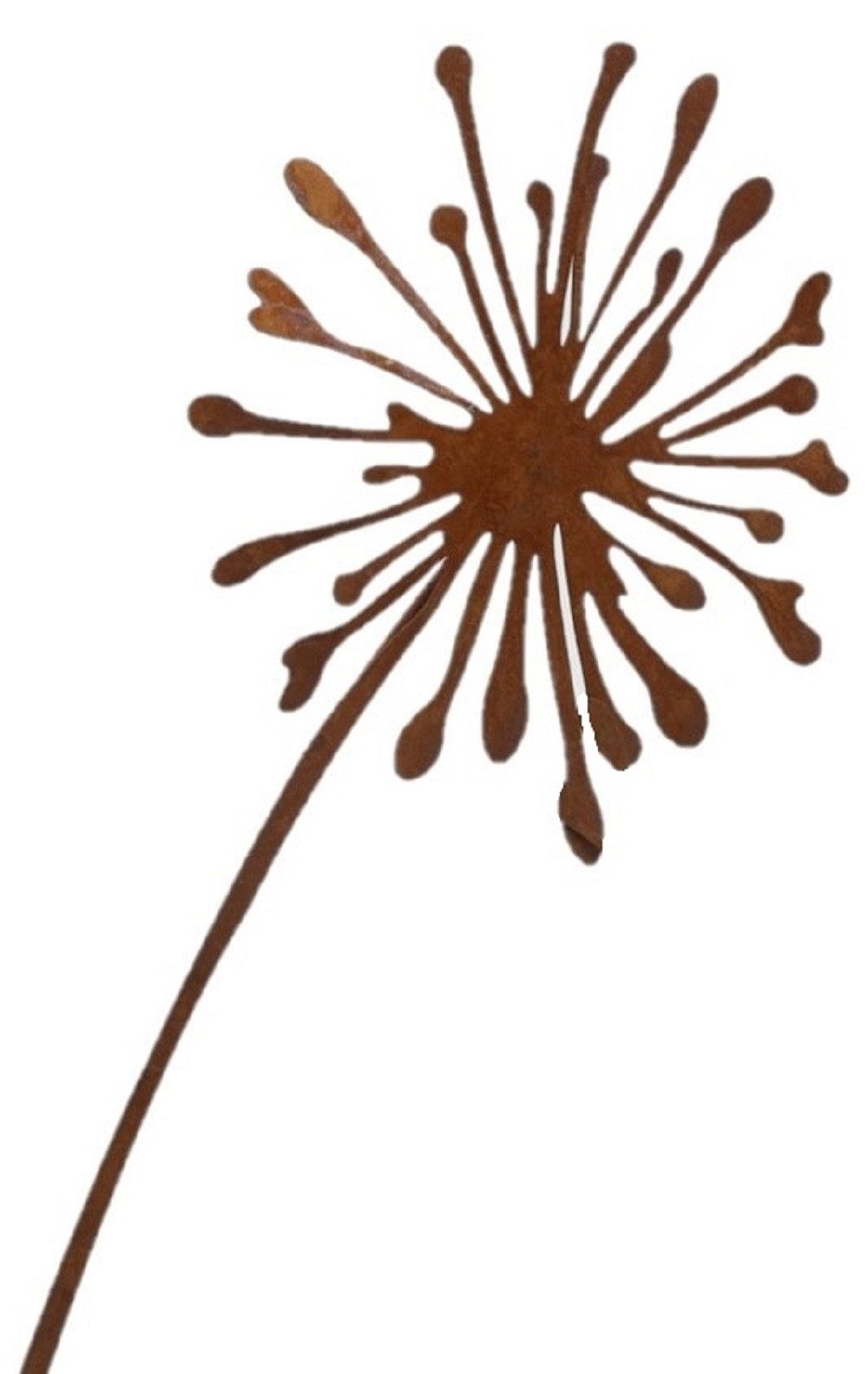 Dragimex Gartenstecker Metall Stecker. PUSTEBLUME. Rost günstig online kaufen