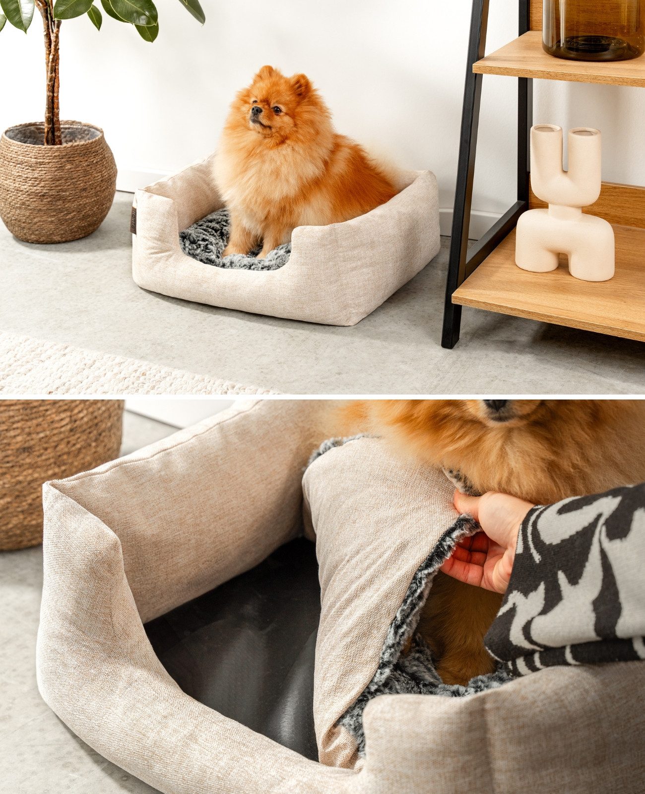 lionto Tierkissen mit herausnehmbarem Wendekissen, 60x50 cm beige, Textil, rutschfester Boden