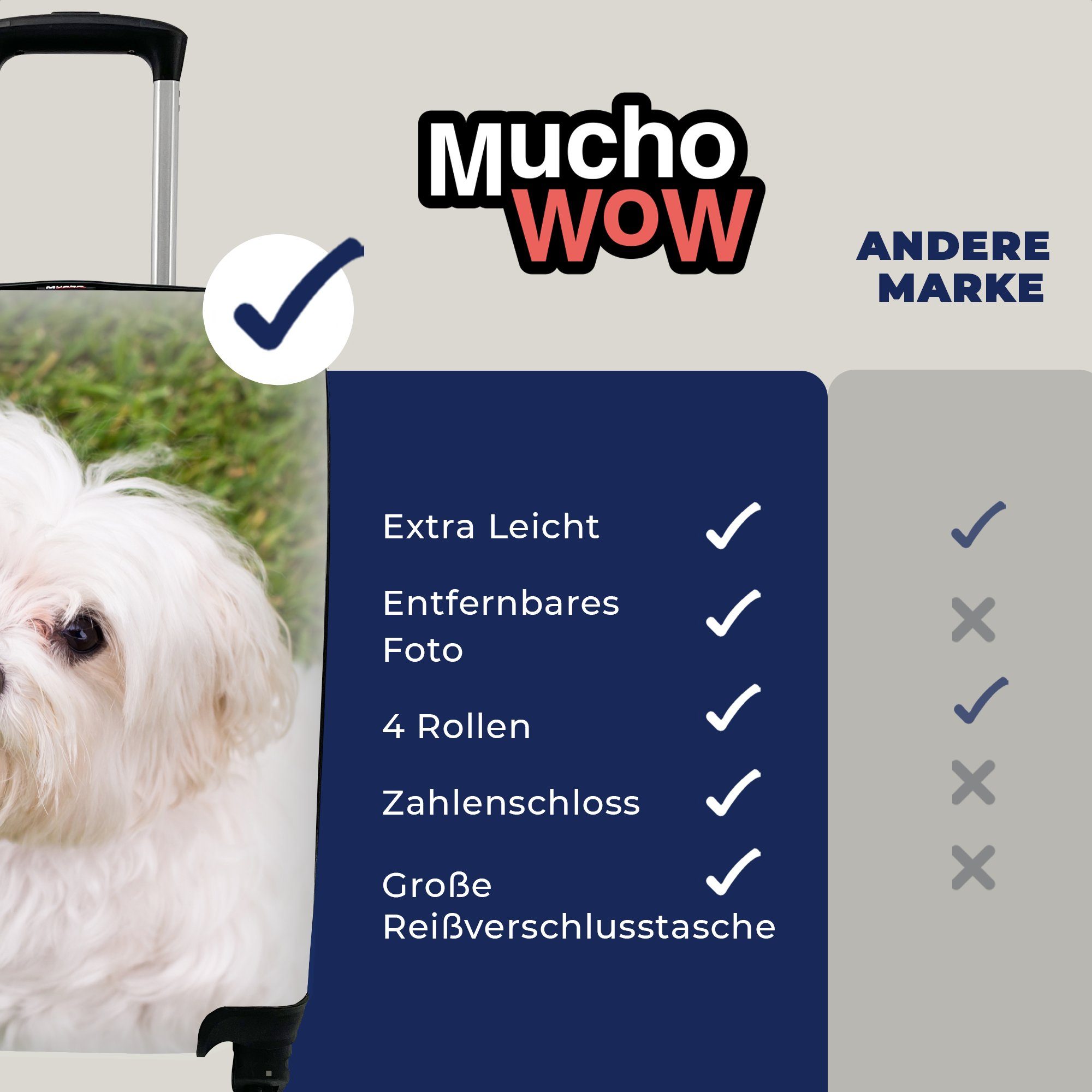 MuchoWow Handgepäckkoffer Malteserhund schaut Reisetasche Reisekoffer Handgepäck rollen, Trolley, mit 4 auf, Ferien, Rollen, für