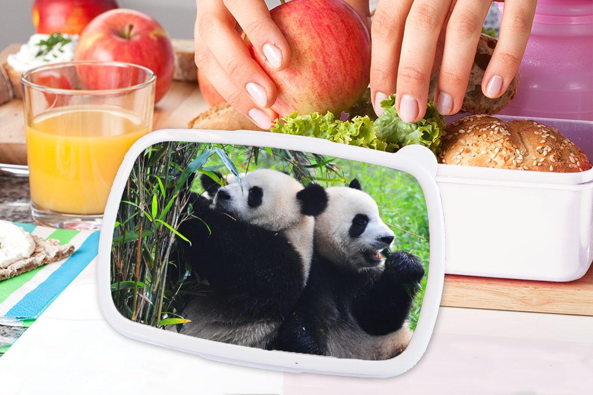 - Brotbox für Mädchen weiß und Lunchbox und Bambus Panda (2-tlg), Jungs für Kinder Erwachsene, Kunststoff, MuchoWow Natur, Brotdose, -