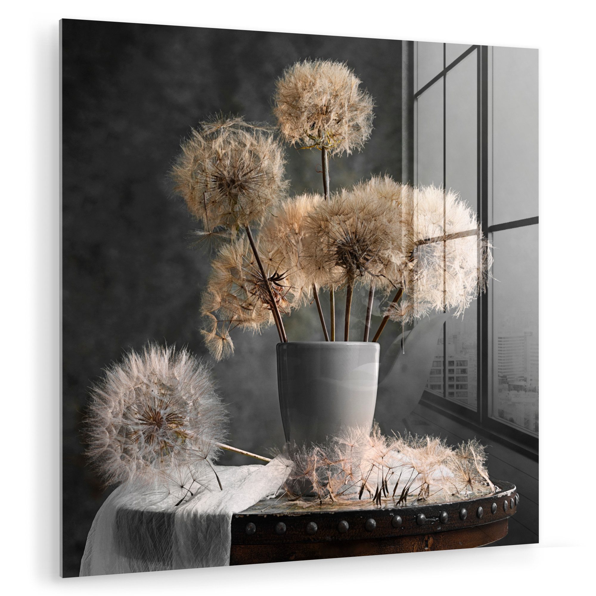 MuchoWow Acrylglasbild Blumensamen - Löwenzahn - günstig online kaufen