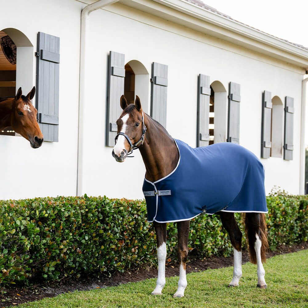 Pferde-Abschwitzdecke Horseware Amigo Jersey Pony Cooler