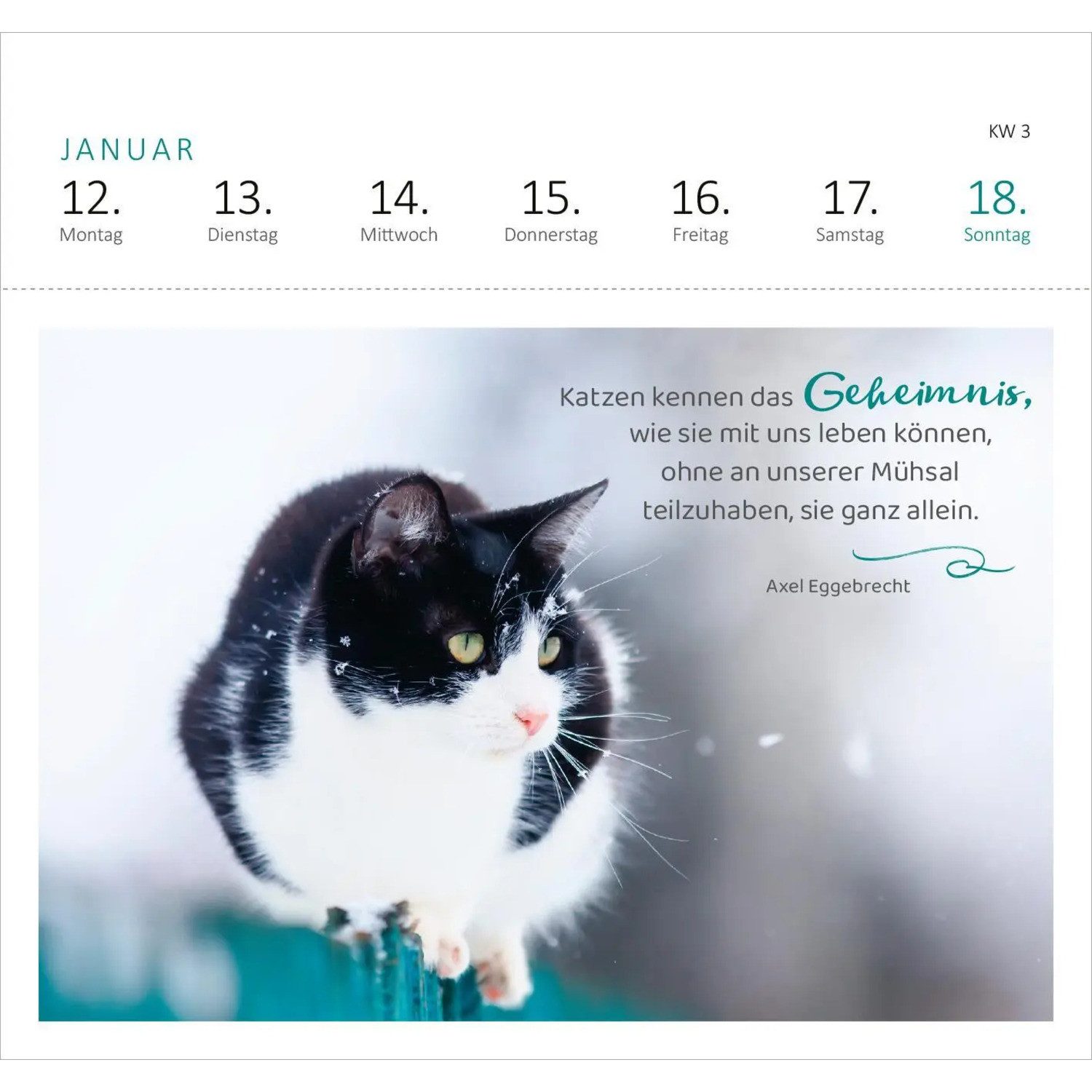 Ars Edition Tischkalender Postkartenkalender Katzenweisheiten 2026