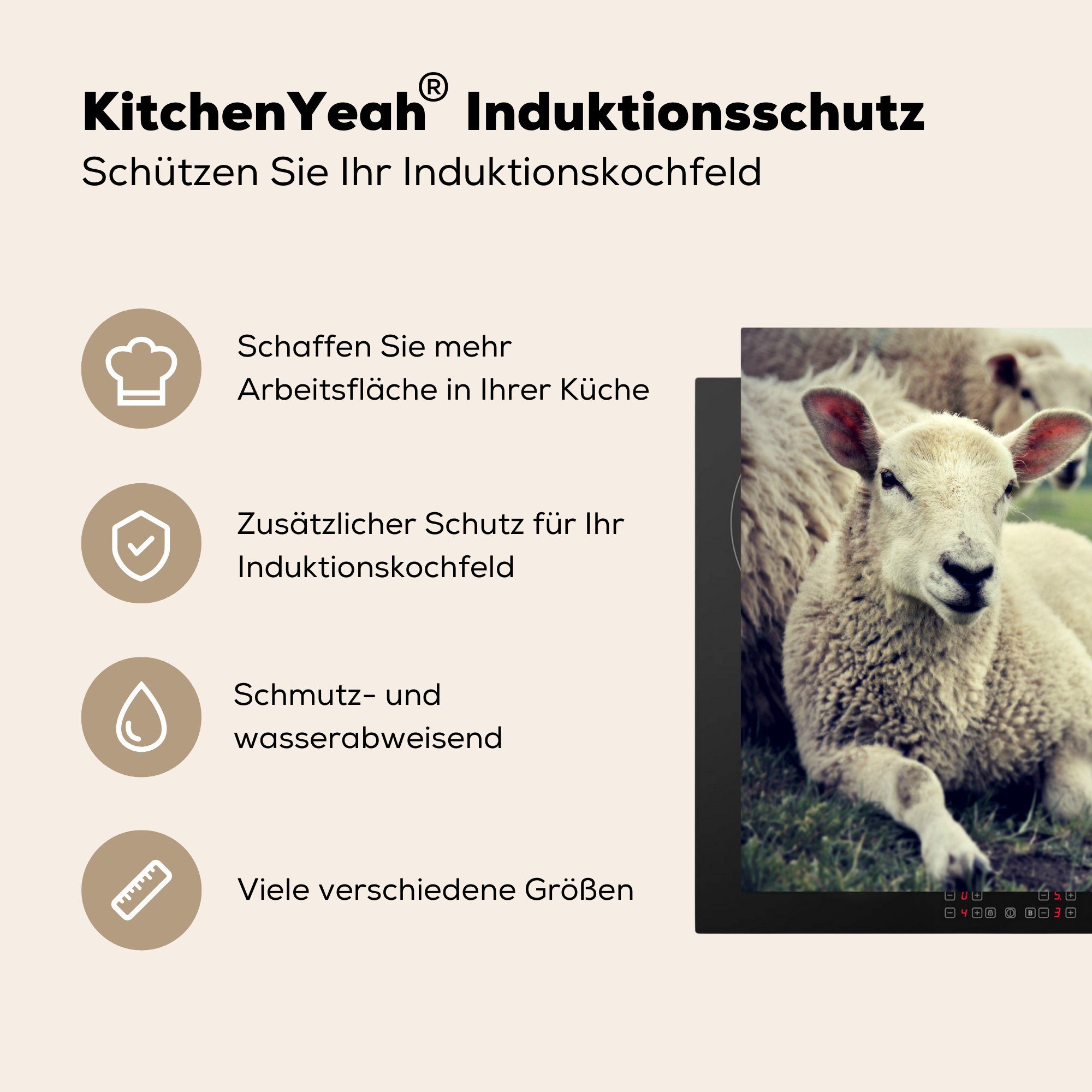 MuchoWow Ceranfeldabdeckung (1 Herdblende-/Abdeckplatte die cm, küche, tlg), - Lamm - 59x52 Induktionsmatte für Schaf Gras, Vinyl,