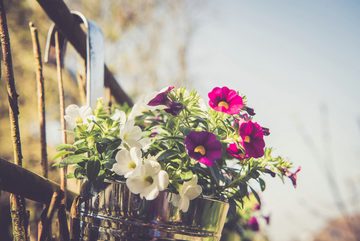 Kamelio Blumentopf Blumentopf hängend Balkon Hängetopf für Pflanzen zum aufhängen Zink (8)