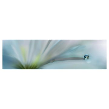 Bilderdepot24 Küchenrückwand blau dekor Blumen Landhaus Tautropfen auf weißer Blüte, (1-tlg., Nischenrückwand - für Fliesenspiegel ohne Bohren - matt), Spritzschutz Rückwand Küche Herd - Folie selbstklebend versch. Größen