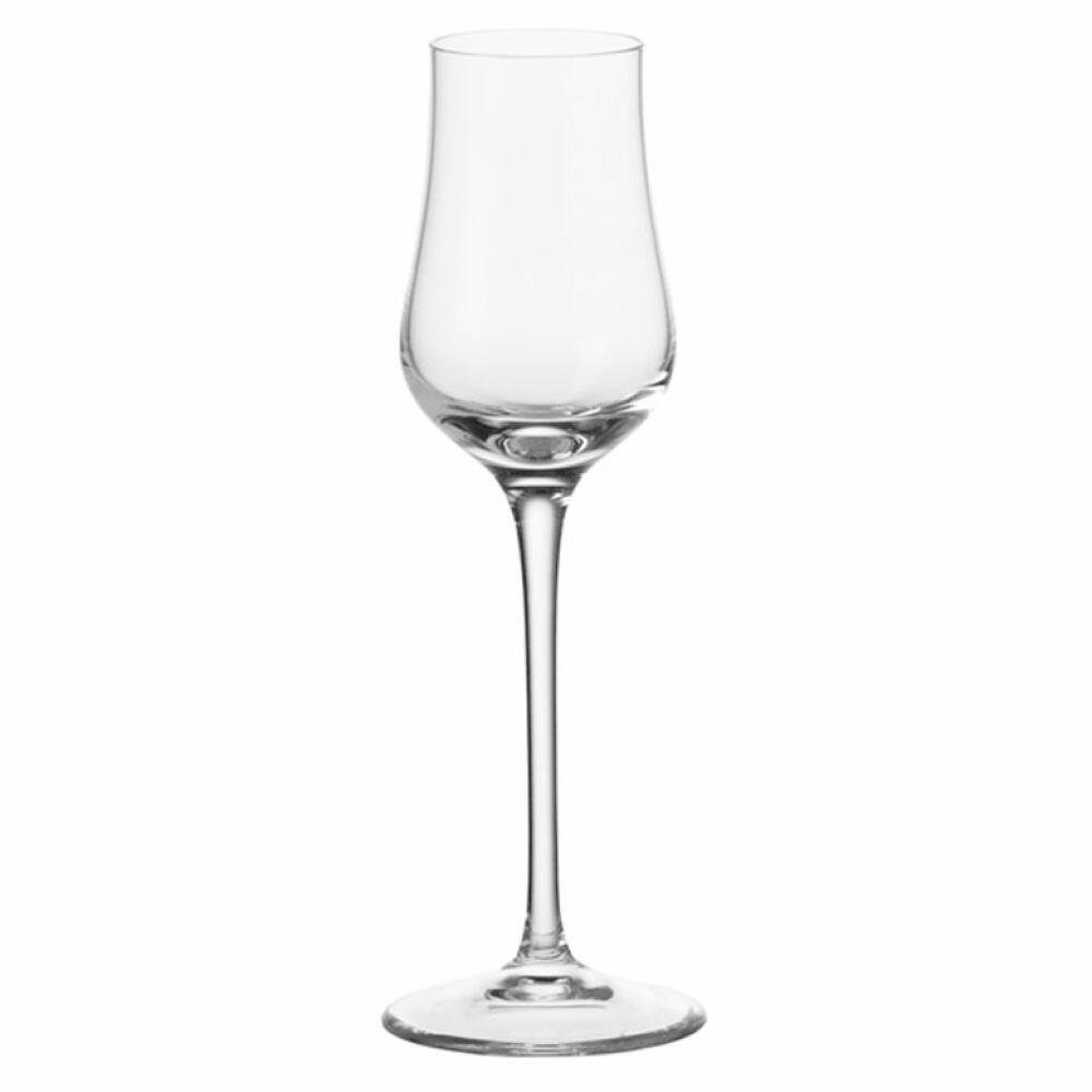 LEONARDO Grappaglas Ciao+, Glas