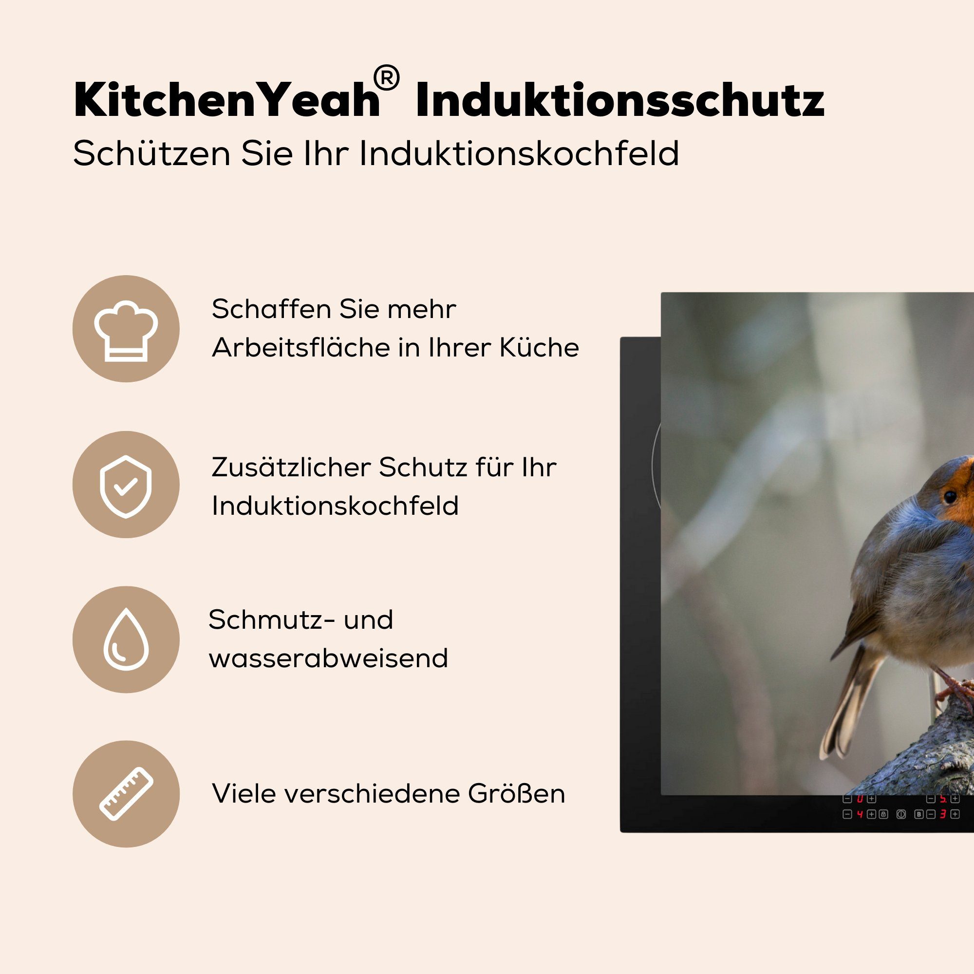 küche, auf sitzt Das MuchoWow Herdblende-/Abdeckplatte (1 Vinyl, tlg), Ast Natur, einem für die Rotkehlchen Schutz Ceranfeldabdeckung cm, der Induktionskochfeld 81x52 in