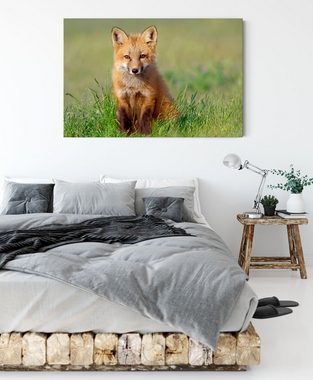 Pixxprint Leinwandbild Kleiner Fuchs, Kleiner Fuchs (1 St), Leinwandbild fertig bespannt, inkl. Zackenaufhänger