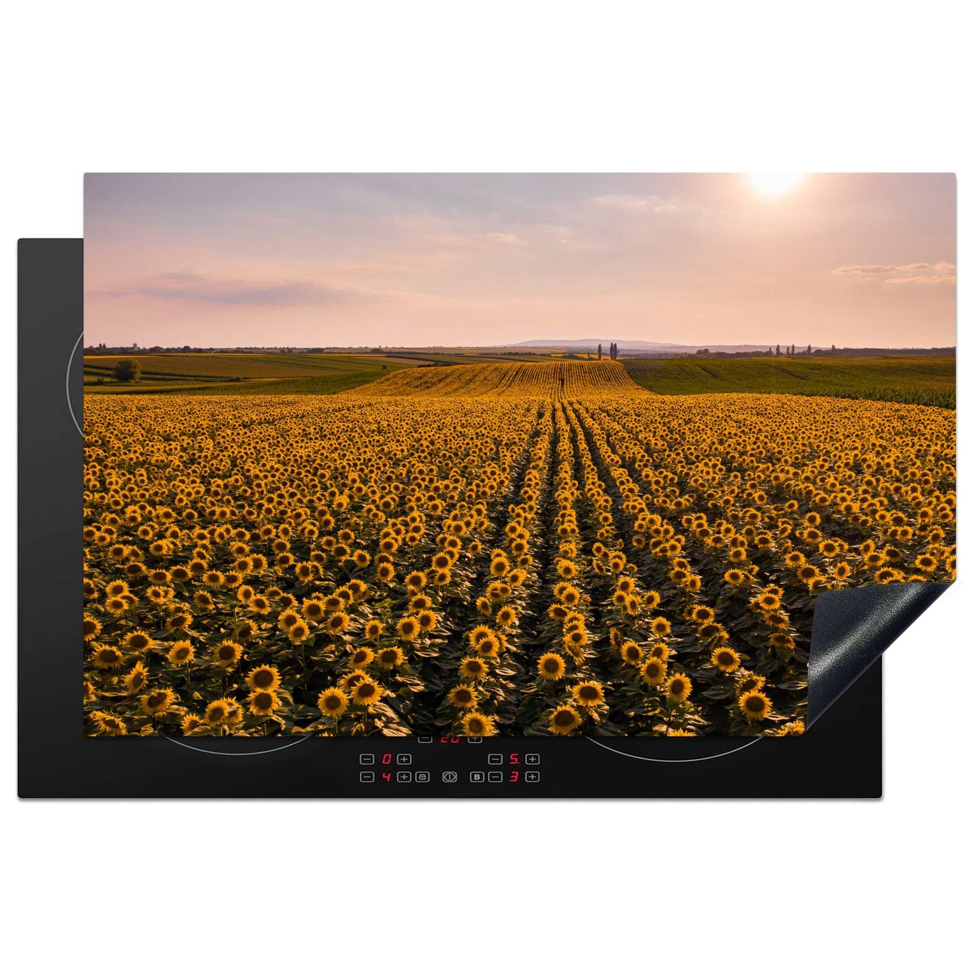 MuchoWow Herdblende-/Abdeckplatte Draufsicht auf ein Feld mit Sonnenblumen, Vinyl, (1 tlg), 81x52 cm, Induktionskochfeld Schutz für die küche, Ceranfeldabdeckung