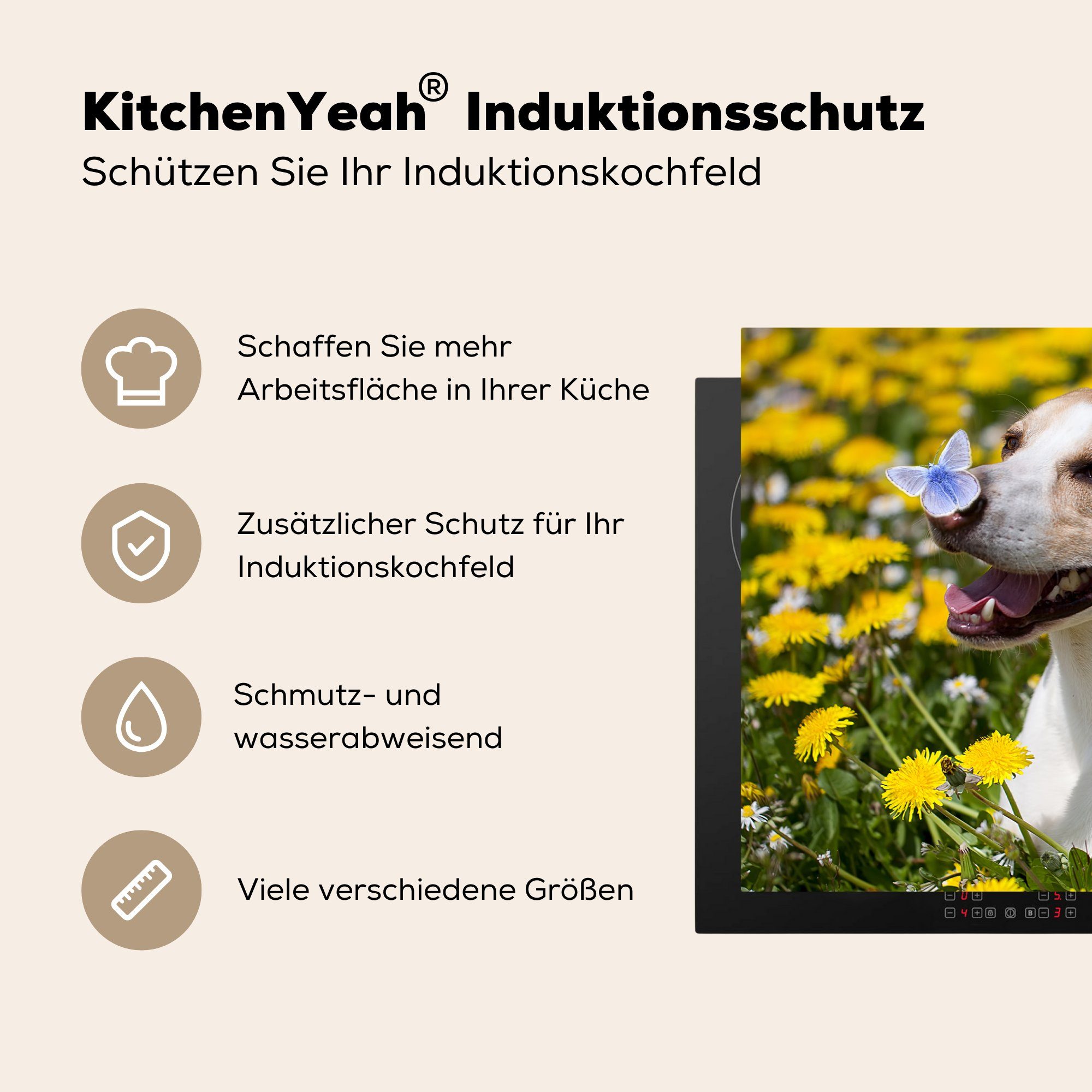 tlg), Herdblende-/Abdeckplatte Hund die - - 81x52 MuchoWow cm, Vinyl, (1 für Finder Löwenzahn, Ceranfeldabdeckung Schutz küche, Induktionskochfeld