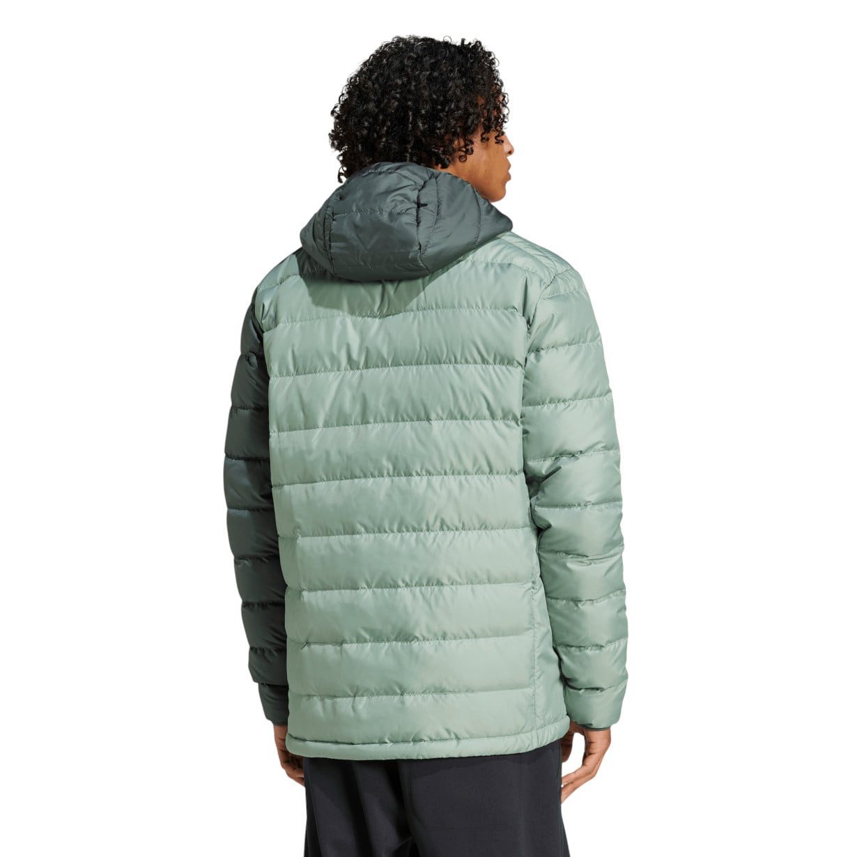adidas Performance Winterjacke Daunenjacke Terrex Multi Light Hooded (warm, wasserabweisend)