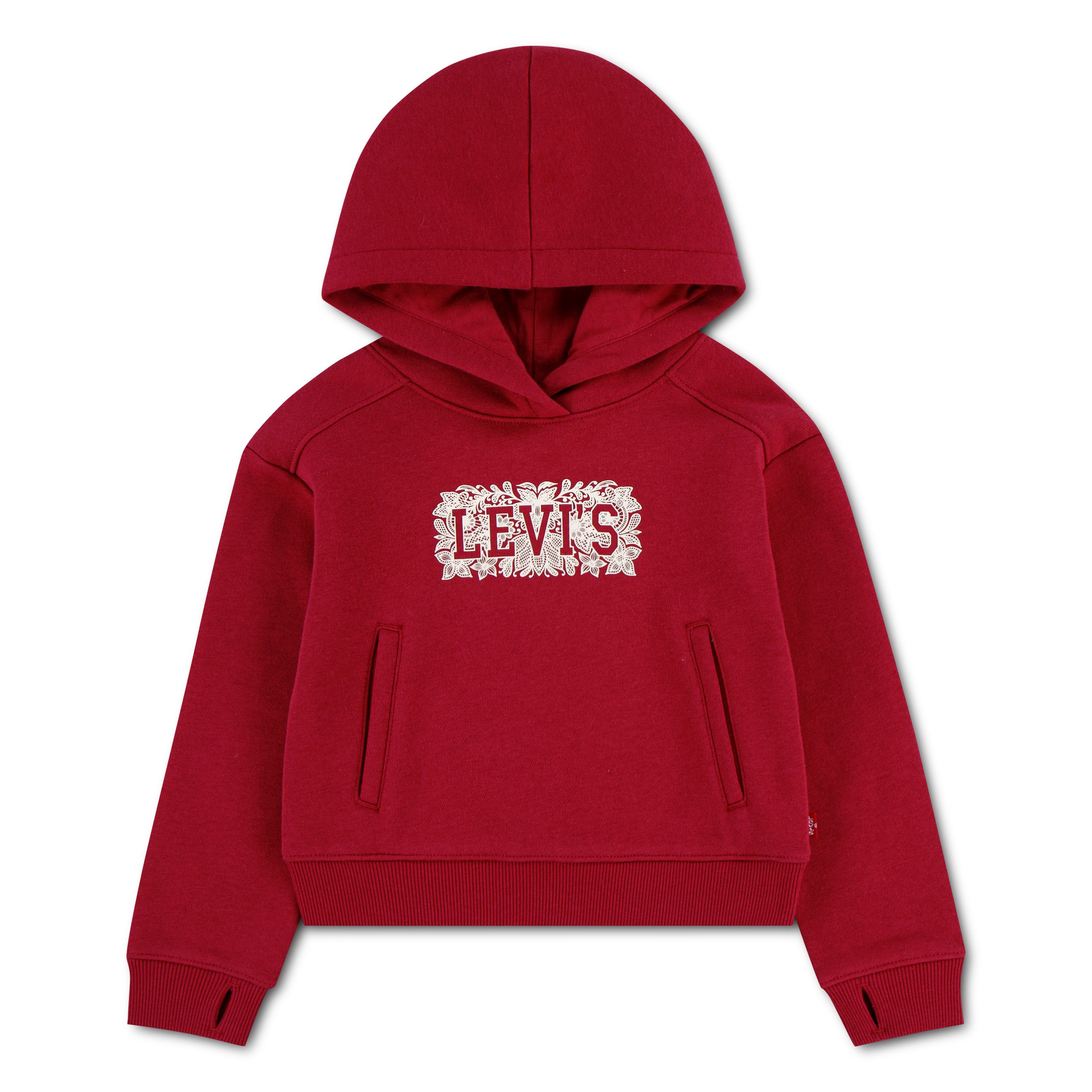 Levi's® Kids Kapuzensweatshirt LVG MEET AND GREET SEASONAL HO mit floralem Logo-Print in Kontrast - for Girls
