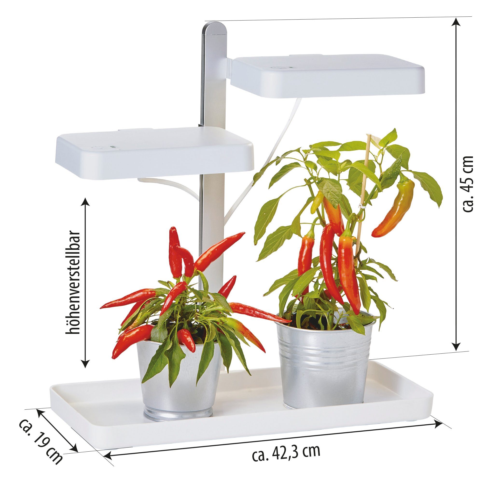 Northpoint Pflanzenlampe LED Pflanzenlampe Pflanzenleuchte Gewächslampe 30W Grow Kräutergarten
