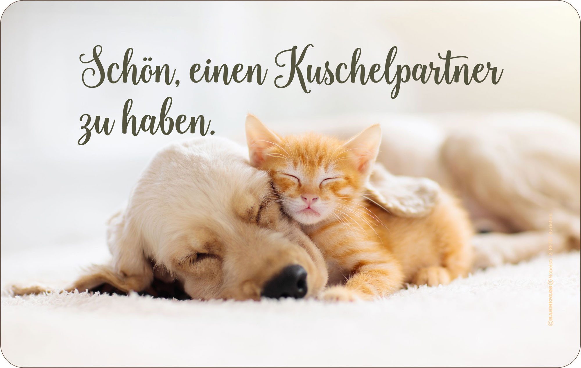 Frühstücksbrett Tiere - Frühstücksbrettchen - Kuschelpartner